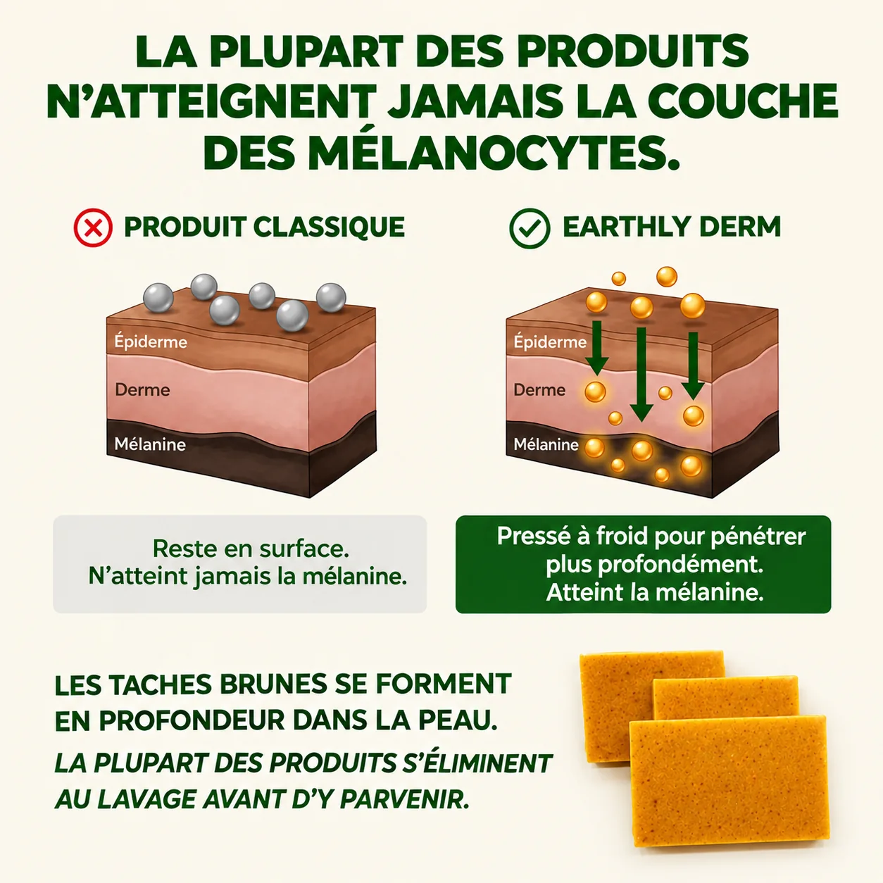 Pourquoi le curcuma pressé à froid pénètre plus profondément